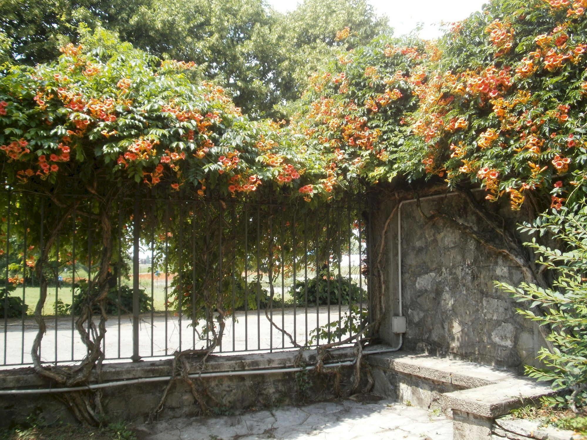 Albergo Villa & Roma Pallazzolo sullʼOglio Εξωτερικό φωτογραφία
